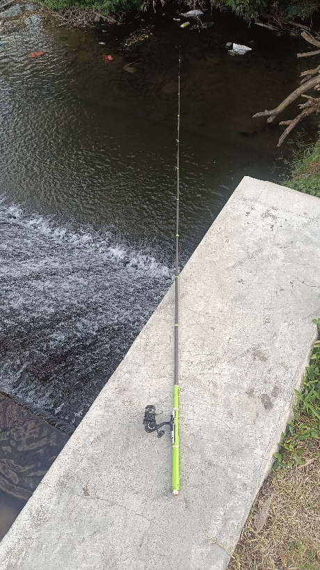Ikan nila tak mau makan umpan