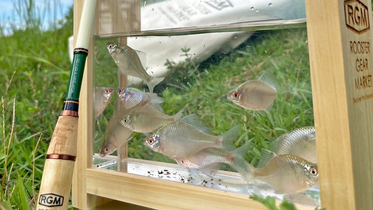 Microfishing, serba-serbi mancing ikan kecil