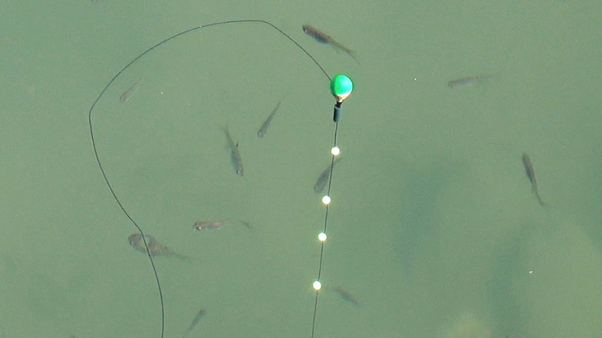 Alat microfishing yang ideal