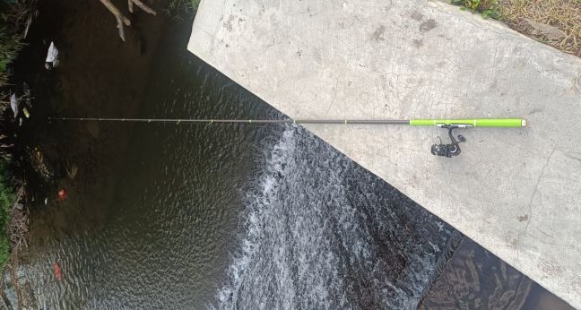 Pertanyaan seputar mancing ikan