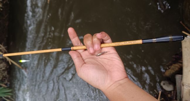 Mancing micro fishing pakai tegek