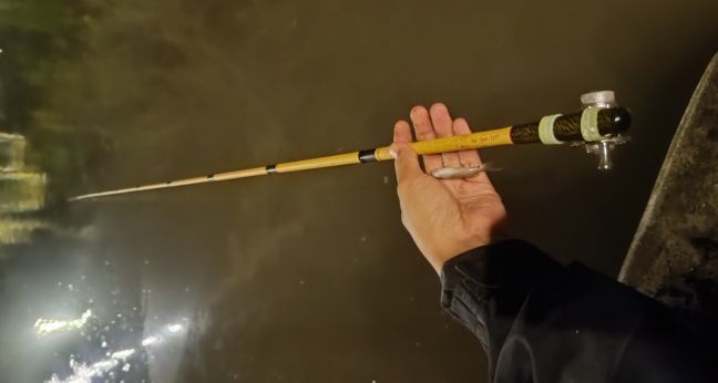 Mancing micro malam hari