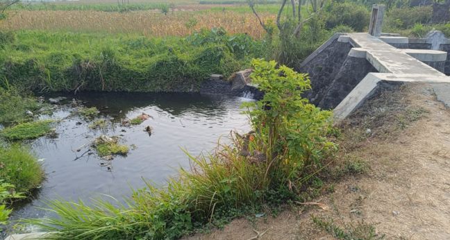 Spot mancing Srengat Blitar