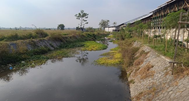 Spot mancing Desa Kerjen Srengat