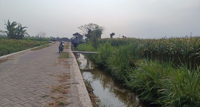 Spot mancing kerjen sore hari