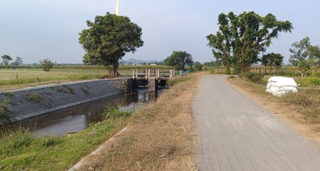 Spot mancing Kerjen tengah sawah