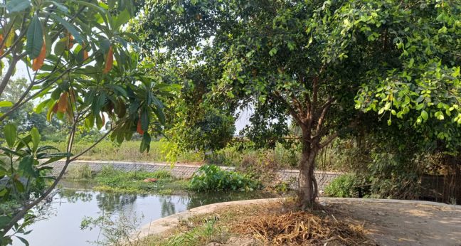 Spot mancing Karanggayam Srengat