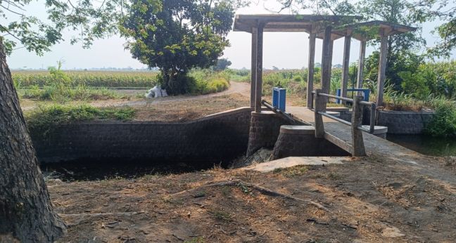 Spot mancing dam tengah sawah