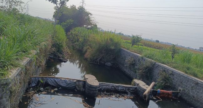 Spot mancing dam Desa Karanggayam