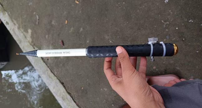 Review joran tegek MSW custom berdasarkan pengalaman