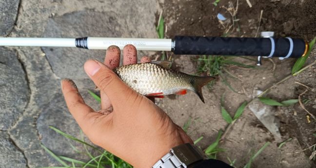 Mancing ikan merah ganting di bawah jembatan Dam Kerjen Srengat Blitar
