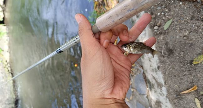 Mancing wader di kali kecil dekat rumah