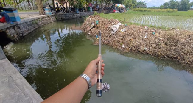 Tegek microfishing untuk mancing lele